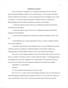 Abdominal Assessment Essay Example – page 2