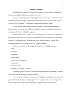 Nursing Roles Graphic-Organizer-Template Essay-ample – page 2