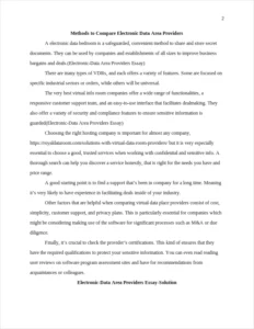 Electronic-Data Area Providers Essay – page 2