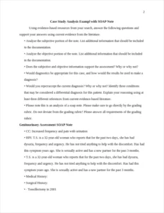 Case Study Analysis Example – page 2