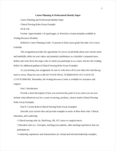Clinical Nursing Roles Essay-Example – page 2
