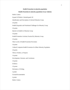 Health Promotion in minority population Essay – page 2