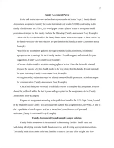 Family Assessment Essay Example – page 2