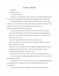 Benchmark Brief Policy Essay-Example – page 2