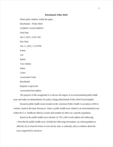 Benchmark-Policy Brief EssaySample – page 2