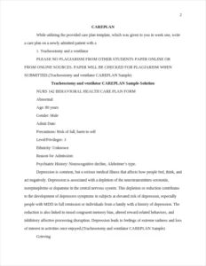 Tracheostomy and ventilator CAREPLAN Sample – page 2