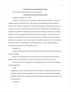 Professional Issues and Nursing Culture – page 2