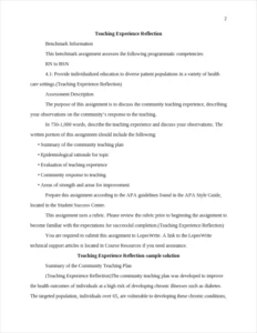 Teaching Experience Reflection – page 2