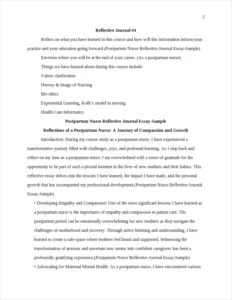 Postpartum Nurse Reflective-Journal Essay-Sample – page 2