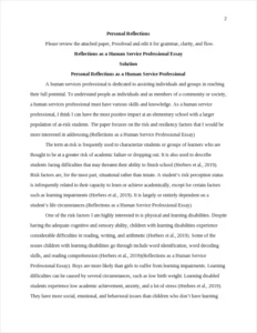 Reflections as a Human Service Professional Essay – page 2