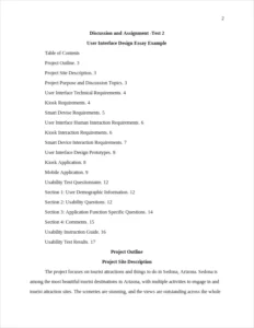 User Interface Design Essay Example – page 2