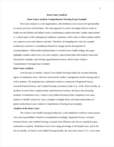 Root-Cause Analysis Comprehensive Nursing Essay Example – page 2