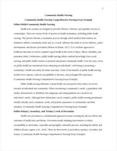 Community Health Nursing Comprehensive Nursing Essay Example – page 2