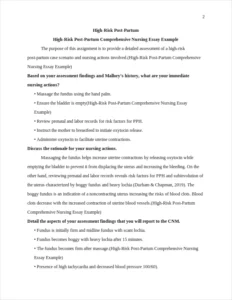 High-Risk Post-Partum Comprehensive Nursing Essay Example – page 2