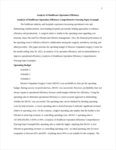 Analysis of Healthcare Operation Efficiency Comprehensive Nursing Paper Example – page 2