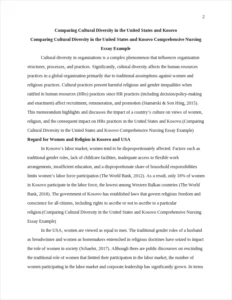 Comparing Cultural Diversity in the United States and Kosovo Comprehensive Nursing Essay Example – page 2