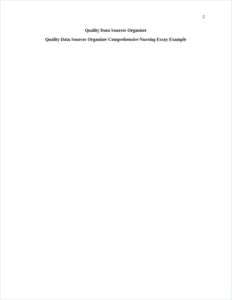 Quality Data Sources Organizer Comprehensive Nursing Essay Example – page 2