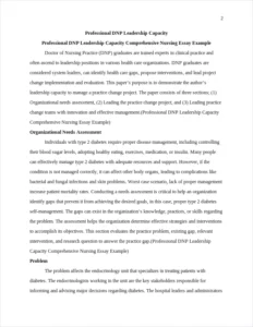 Professional DNP Leadership Capacity Comprehensive Nursing Essay Example – page 2