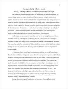 Nursing Leadership Reflective Journal Comprehensive Essay Example – page 2