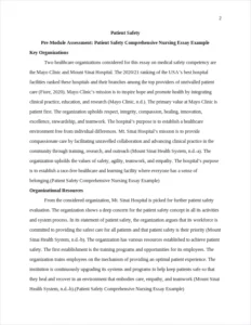 Patient Safety Comprehensive Nursing Essay Example – page 2