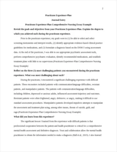 Practicum Experience Plan Comprehensive Nursing Essay Example – page 2