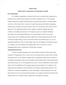 Patient Safety Comprehensive Nursing Paper Example – page 2