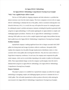 Six Sigma DMAIC Methodology Comprehensive Nursing Essay Example – page 2