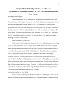 Six Sigma DMAIC Methodology to Reduce Lost CHEP Losts Comprehensive Nursing Essay Example – page 2