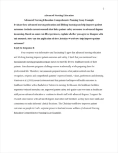 Advanced Nursing Education Comprehensive Nursing Essay Example – page 2