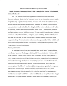 Chronic Obstructive Pulmonary Disease COPD Comprehensive Nursing Essay Example – page 2