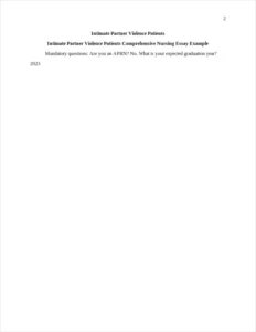 Intimate Partner Violence Patients Comprehensive Nursing Essay Example – page 2