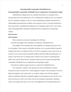 Promoting Health Communities Windshield Survey Comprehensive Nursing Paper Sample – page 2