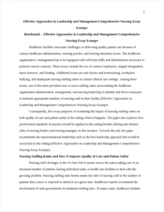 Effective Approaches in Leadership and Management Comprehensive Nursing Essay Exampe – page 2