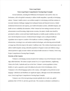 Term-Long Project Comprehensive Nursing Paper Example – page 2