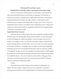 Professional DNP Leadership Capacity Comprehensive Nursing Paper Sample – page 2