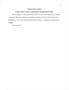 Evidence Based Analysis Comprehensive Nursing Paper Example – page 2