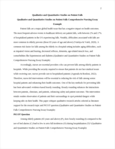 Qualitative and Quantitative Studies on Patient Falls Comprehensive Nursing Essay Example – page 2