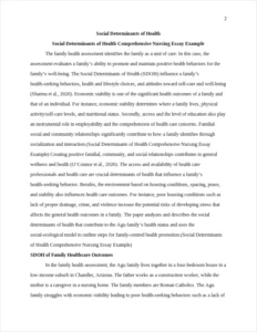 Social Determinants of Health Comprehensive Nursing Essay Example – page 2