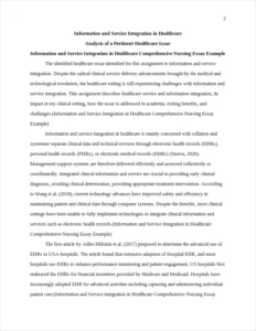Information and Service Integration in Healthcare Comprehensive Nursing Essay Example – page 2