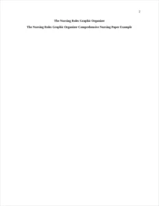The Nursing Roles Graphic Organizer Comprehensive Nursing Paper Example – page 2