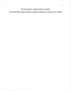 The Nursing Roles Graphic Organizer Template Comprehensive Nursing Essay Example – page 2