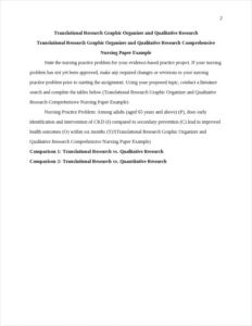 Translational Research Graphic Organizer and Qualitative Research Comprehensive Nursing Paper Example – page 2