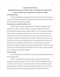 Concepts of Orlando Theory Comprehensive Nursing Essay Example – page 2
