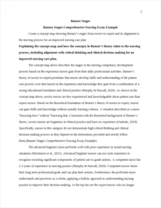 Banner Stages Comprehensive Nursing Essay Example – page 2