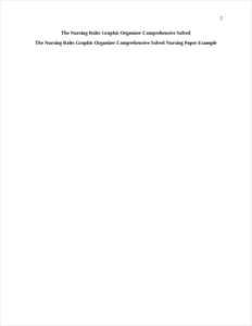 The Nursing Roles Graphic Organizer Comprehensive Solved Nursing Paper Example – page 2