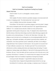 Final Case Formulation Comprehensive Nursing Essay Example – page 2