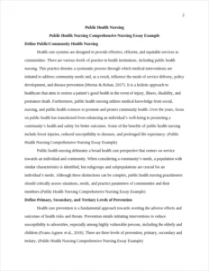 Public Health Nursing Comprehensive Nursing Essay Example – page 2