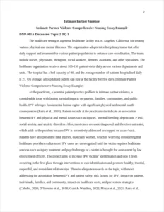 Intimate Partner Violence Comprehensive Nursing Essay Example – page 2