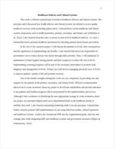 Healthcare Delivery and Clinical Systems-Nursing Paper Examples – page 2
