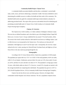 Community Health Project-Nursing Paper Examples – page 2